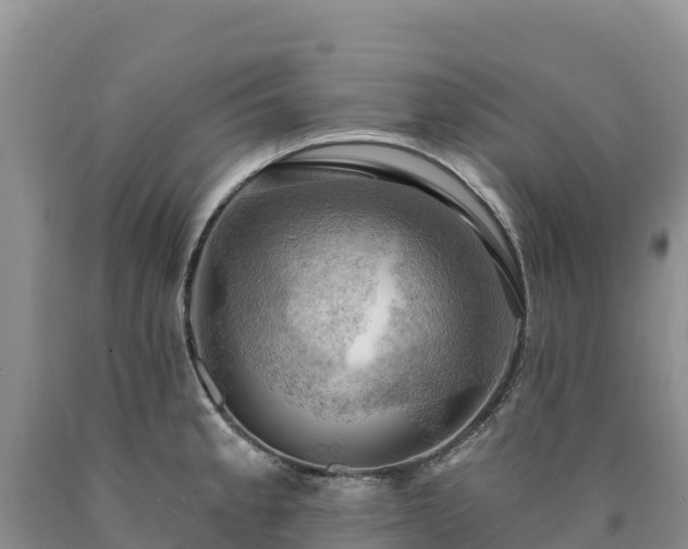 X0000090631189200707241145