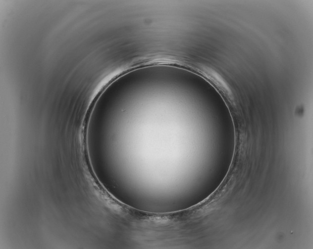 X0000090631190200707241145