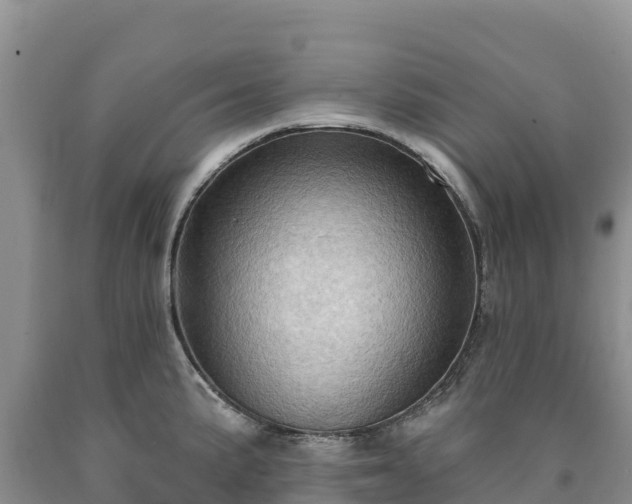 X0000090631191200707241145