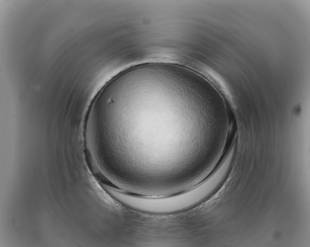 X0000090631192200707241145
