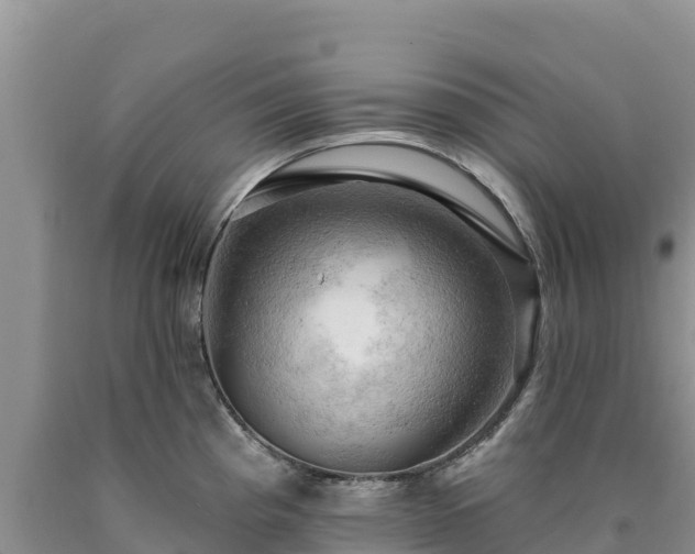 X0000090631193200707241145