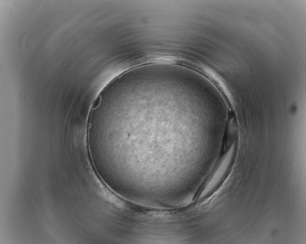 X0000090631194200707241145