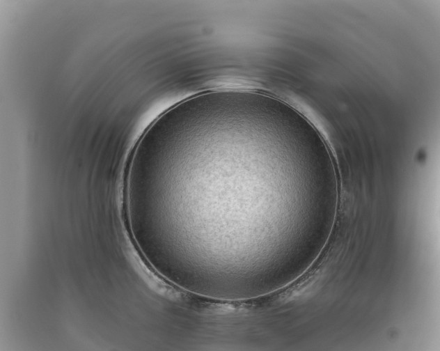 X0000090631195200707241145