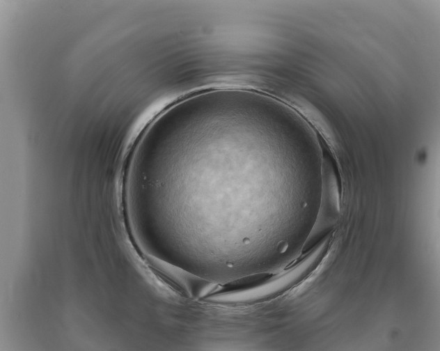 X0000090631196200707241145