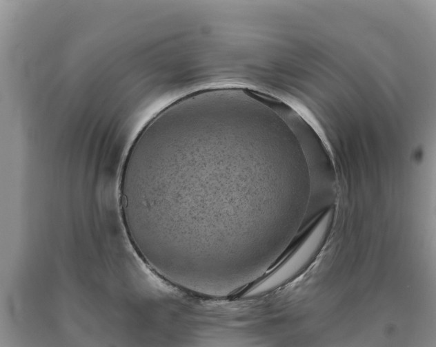 X0000090631197200707241145