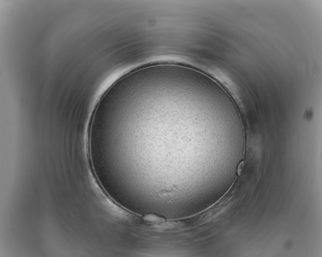 X0000090631199200707241145