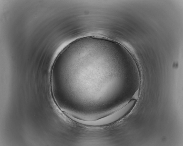 X0000090631200200707241145