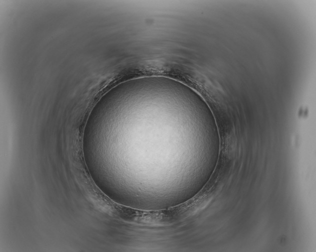 X0000090631201200707241144