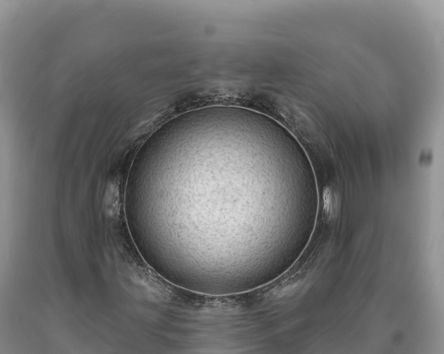 X0000090631203200707241144