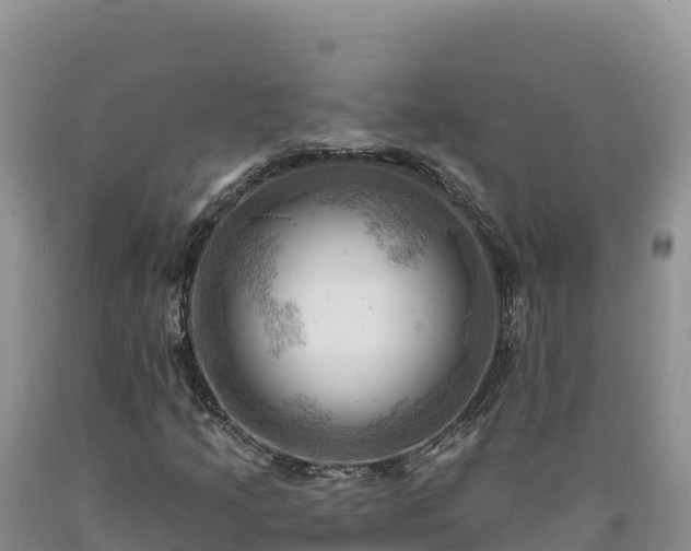 X0000090631205200707241144