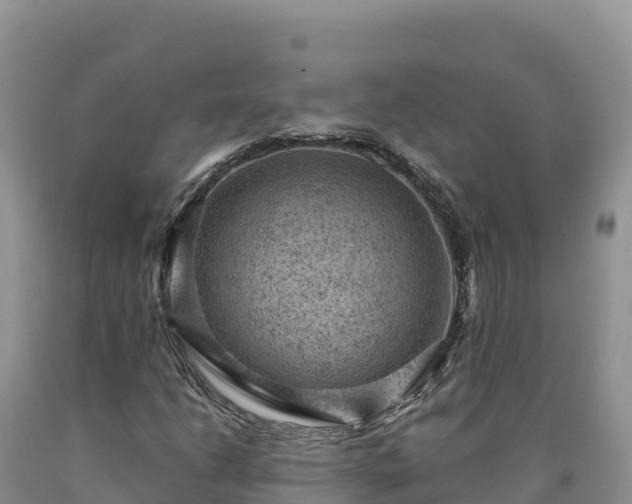X0000090631206200707241144
