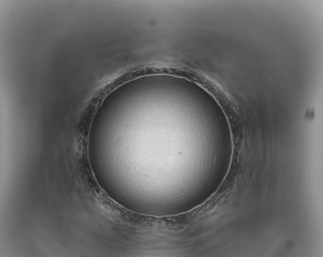 X0000090631207200707241144