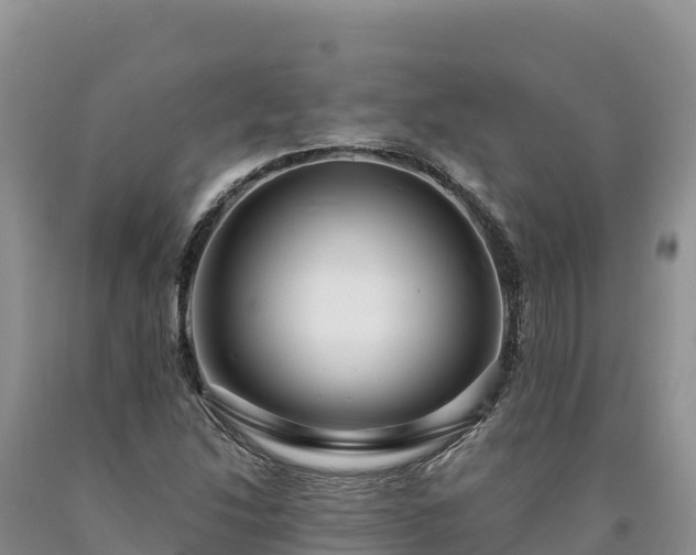 X0000090631214200707241144
