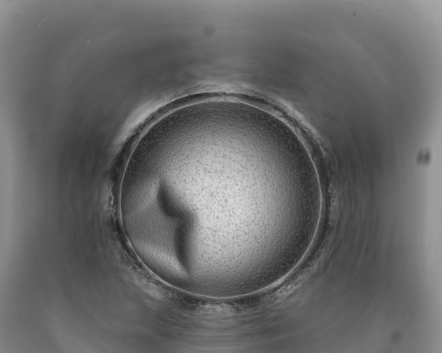 X0000090631215200707241144