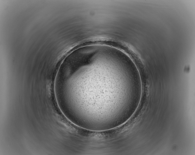 X0000090631217200707241144