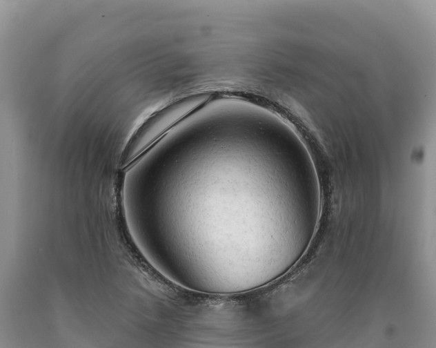 X0000090631218200707241144