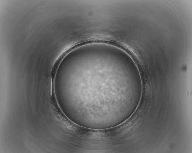 X0000090631219200707241144
