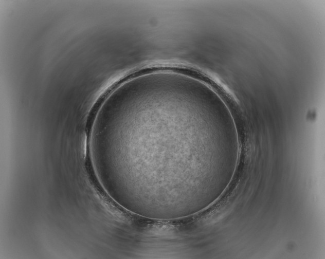 X0000090631221200707241144