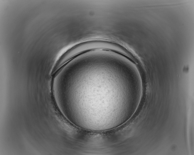 X0000090631222200707241144