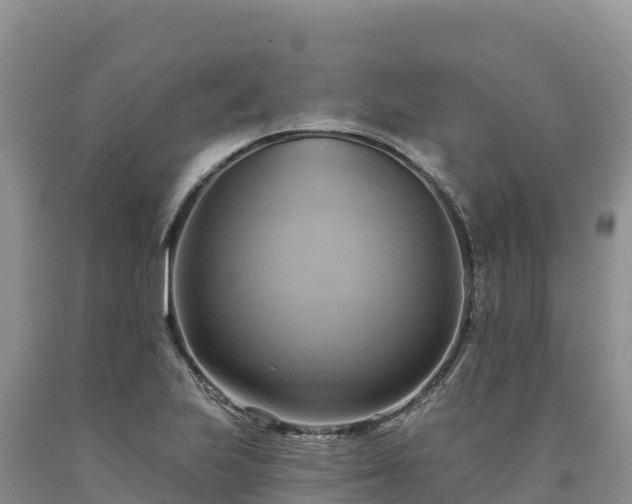 X0000090631223200707241144