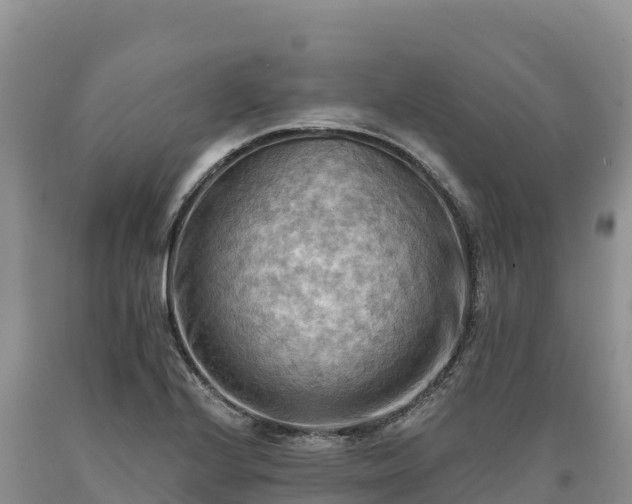 X0000090631224200707241144