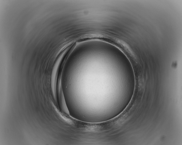 X0000090631225200707241144