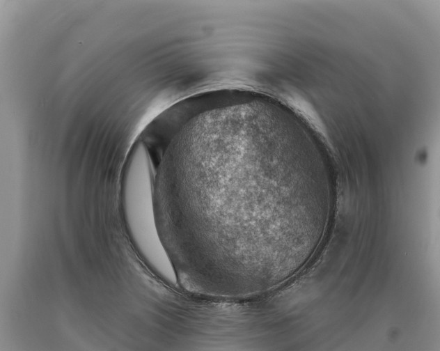 X0000090631226200707241145
