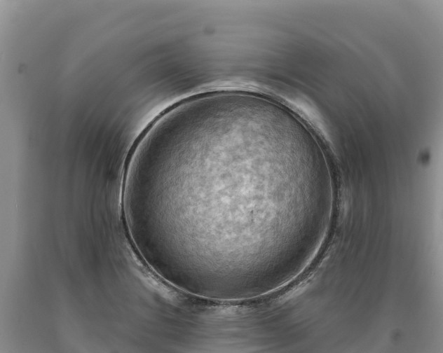 X0000090631228200707241145