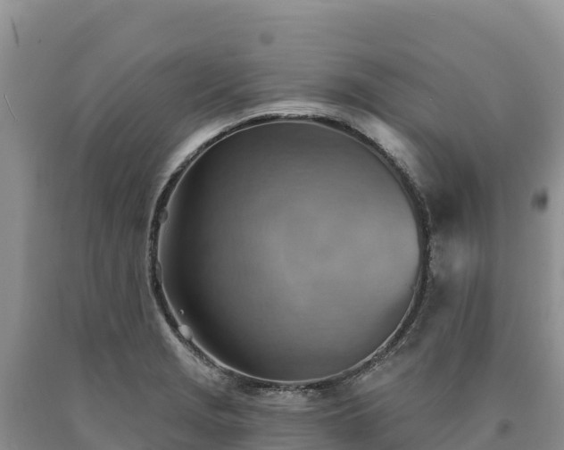 X0000090631229200707241145
