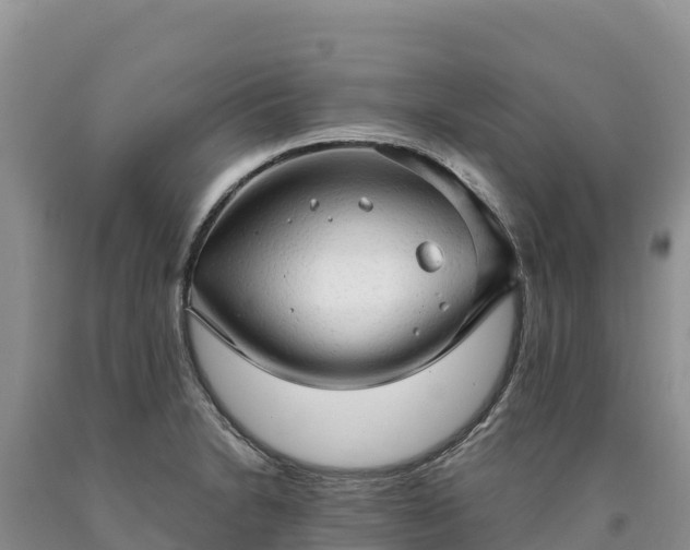 X0000090631230200707241145