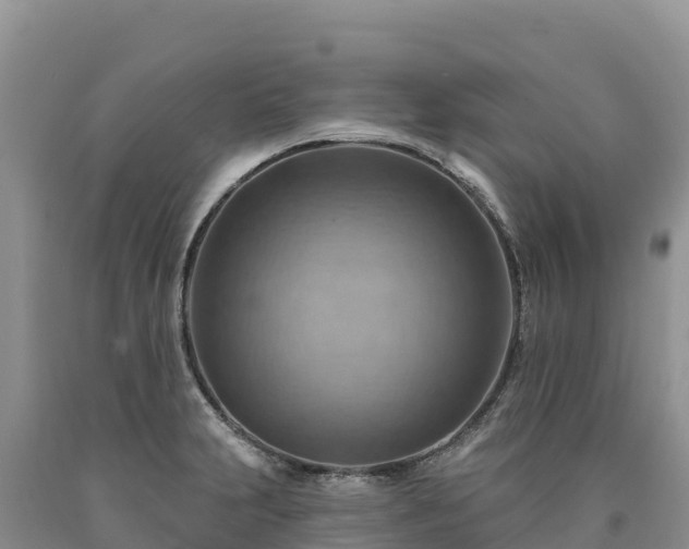 X0000090631231200707241145