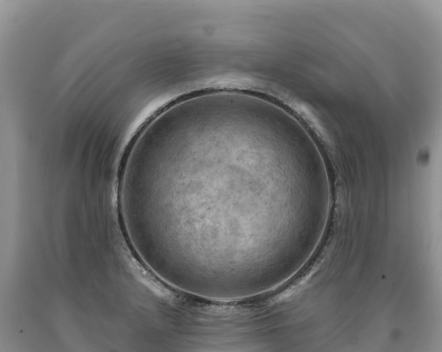 X0000090631232200707241145