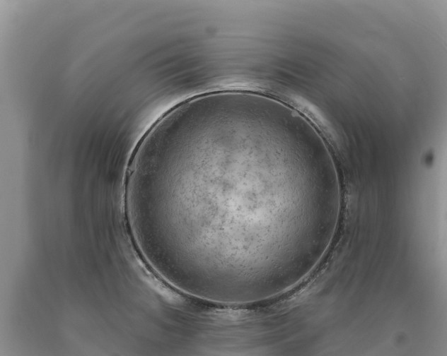 X0000090631236200707241145