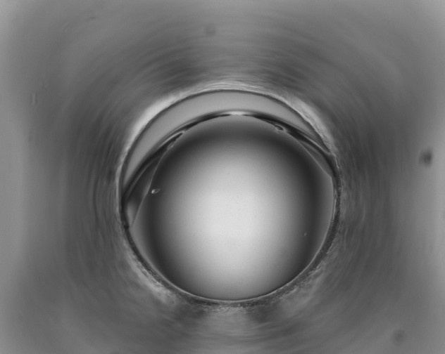 X0000090631238200707241145