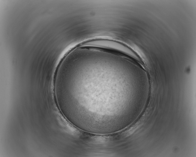 X0000090631240200707241145