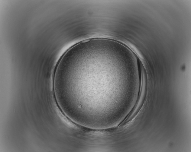 X0000090631246200707241145