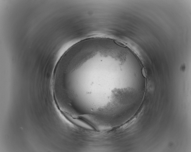 X0000090631247200707241145