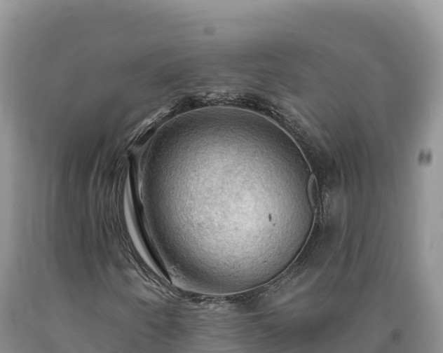 X0000090631250200707241144