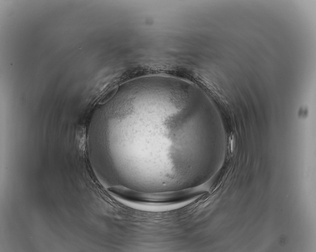 X0000090631251200707241144