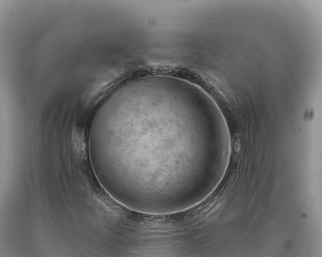 X0000090631252200707241144