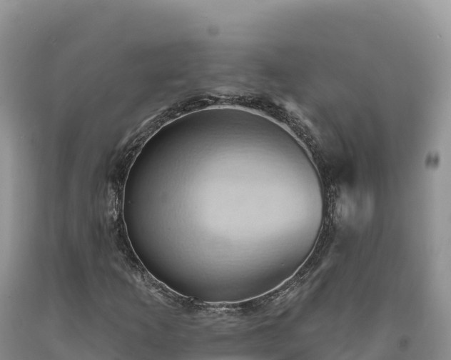 X0000090631253200707241144