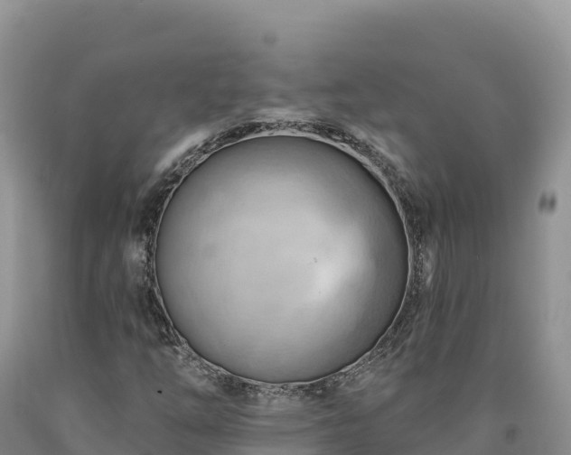 X0000090631254200707241144