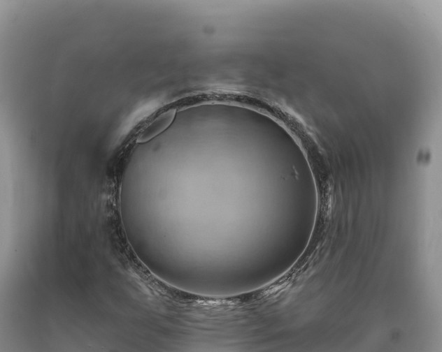 X0000090631255200707241144