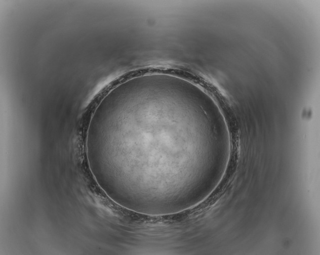 X0000090631256200707241144