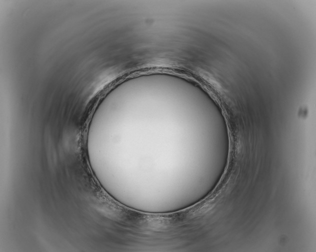 X0000090631258200707241144
