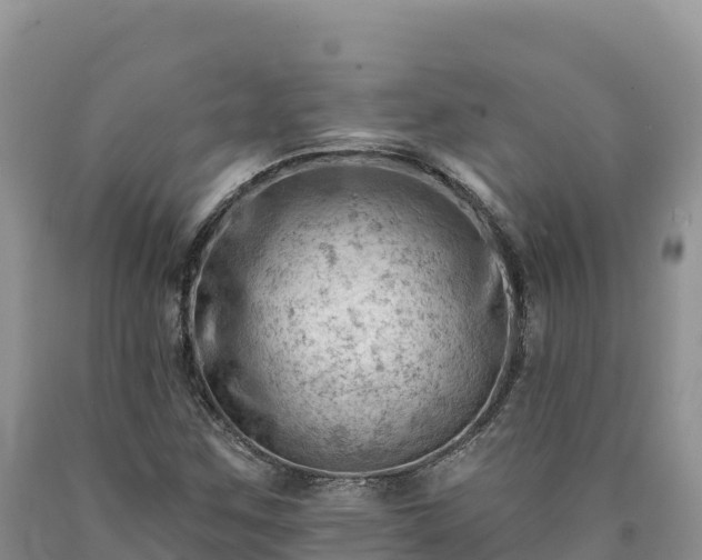 X0000090631259200707241144