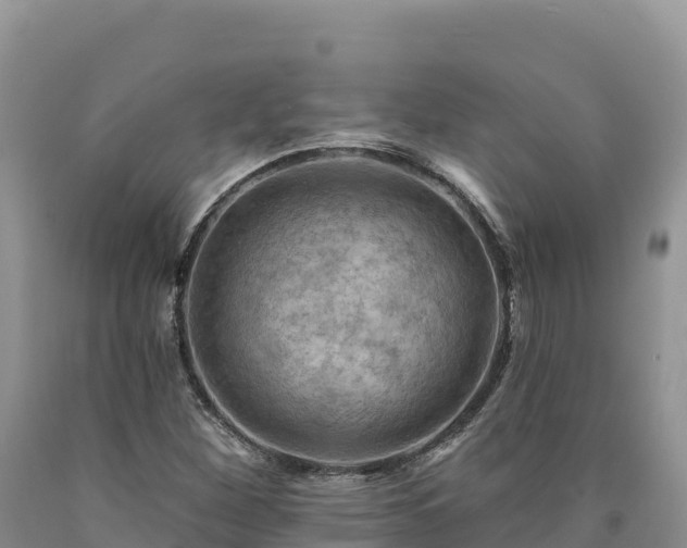 X0000090631260200707241144