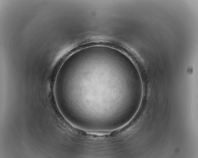 X0000090631261200707241144