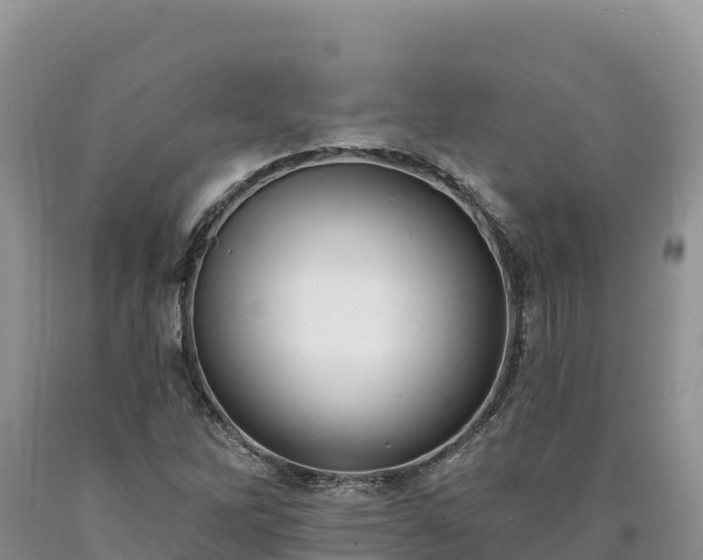X0000090631262200707241144