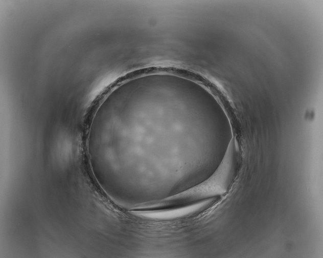 X0000090631263200707241144